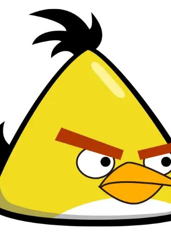 FREE THE HATCHLINGS